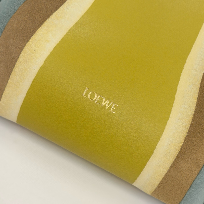 LOEWE Medium Flamenco clutch Landscape Bag
