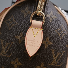 LV Speedy Bandoulière 20 Handbag