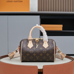 LV Speedy Bandoulière 20 Handbag