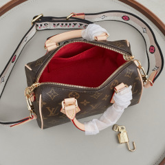 LV Speedy Bandoulière 20 Handbag