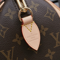 LV Speedy Bandoulière 20 Handbag
