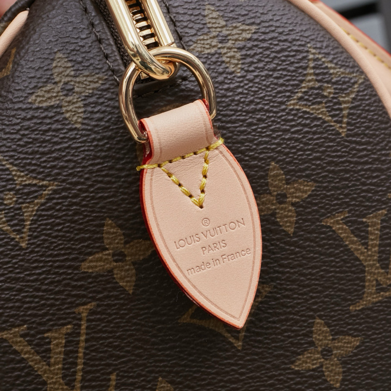 LV Speedy Bandoulière 20 Handbag