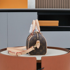 LV Speedy Bandoulière 20 Handbag