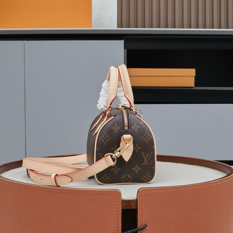 LV Speedy Bandoulière 20 Handbag