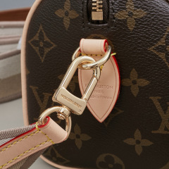 LV Speedy Bandoulière 20 Handbag