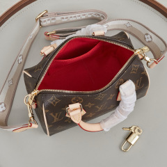 LV Speedy Bandoulière 20 Handbag