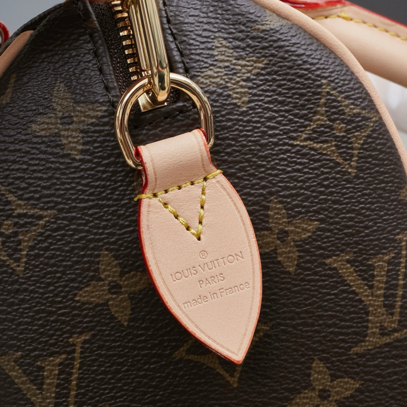 LV Speedy Bandoulière 20 Handbag