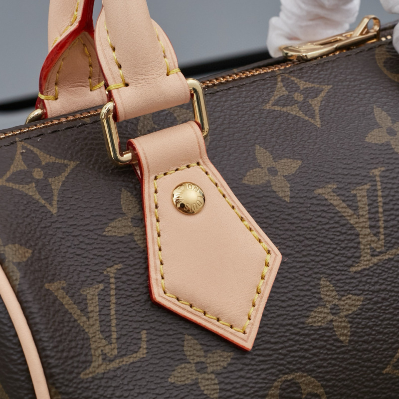 LV Speedy Bandoulière 20 Handbag