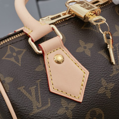 LV Speedy Bandoulière 20 Handbag