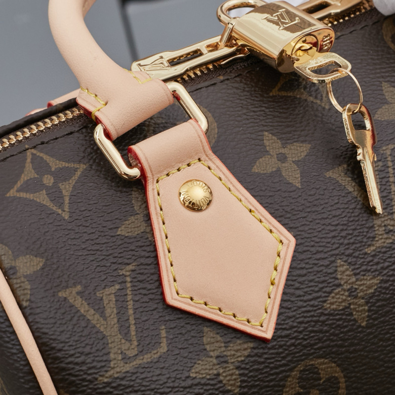 LV Speedy Bandoulière 20 Handbag