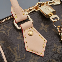 LV Speedy Bandoulière 20 Handbag