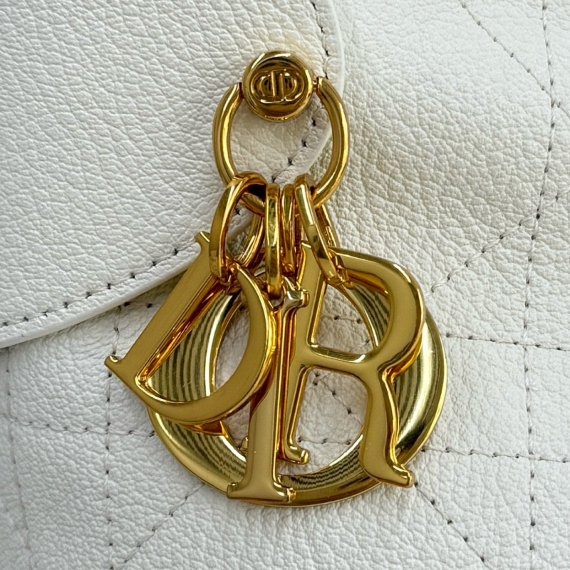 DIOR Voyage Large Bag
