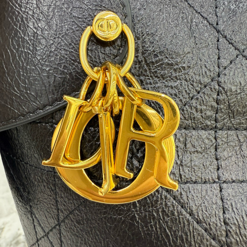 DIOR Voyage Large Bag