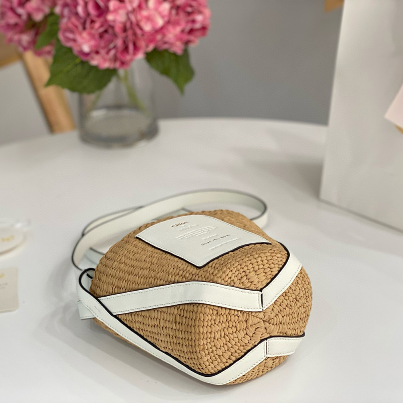 CHLOÉ SMALL WOODY BASKET IN NATURAL FIBERS