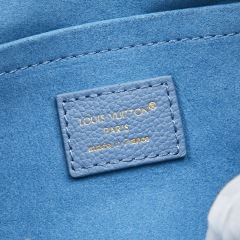 LV Speedy Bandoulière 20 Handbag