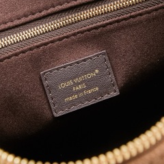 LV Speedy Bandoulière 25 Handbag