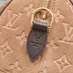LV Speedy Bandoulière 25 Handbag
