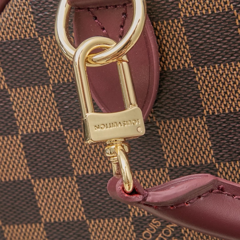 LV Speedy Soft 25 Handbag