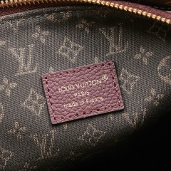 LV Multipass Handbag