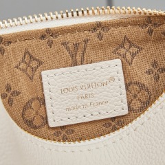 LV Multipass Mini Handbag