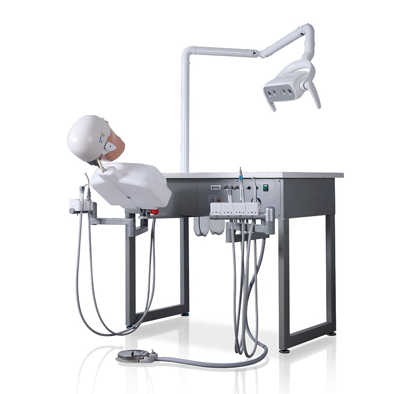 Bench-mounted dental simulator workstation