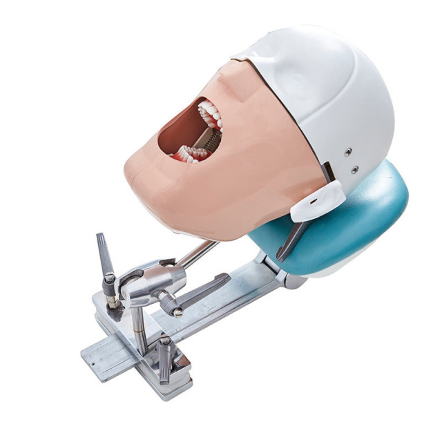 Dental Mannequin Head Fixed On Chair