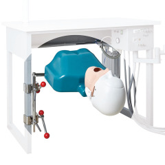 Dentist Practice Dummy Dental Simulator | Dental Teaching Phantom Manikin with Teeth