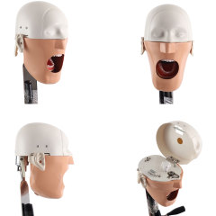 Chair Headrest Dental Phantom Head | Dental Simulation Training Model