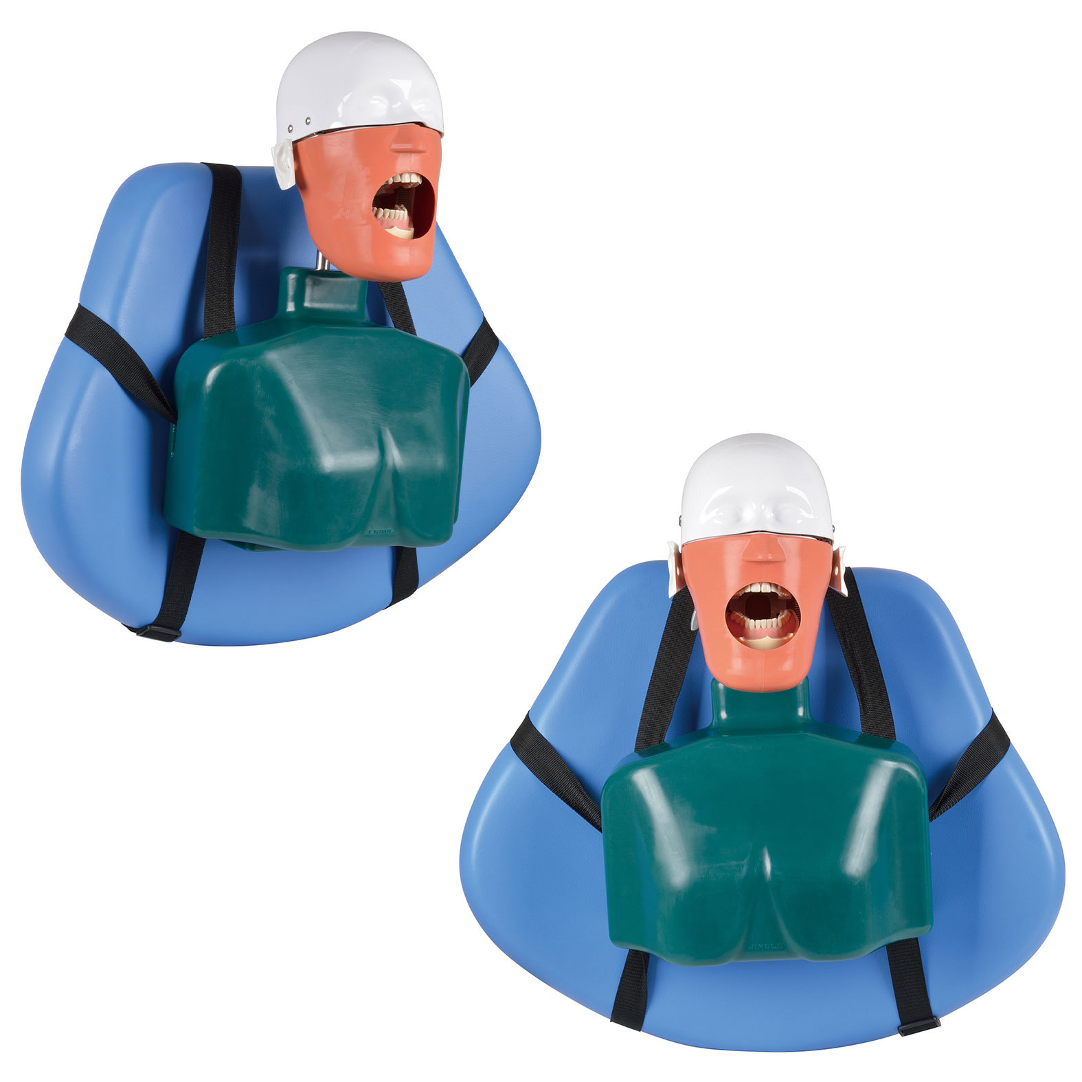 Dental Manikin Head on Chair | Dental Simulator Phantom Head for Student Training
