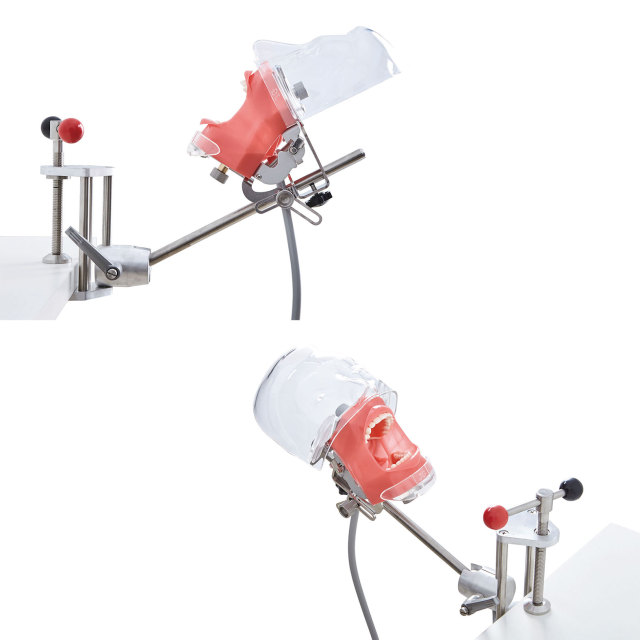 Portable Dental Phantom Head with Transparent Cover, Adjustable Jaw Model, and Table Edge Clamp for Easy Operation