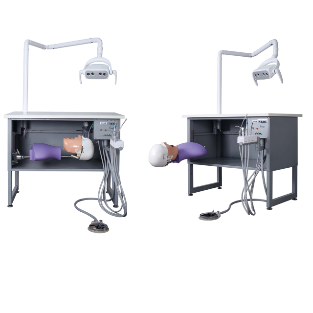 Jinglemed: Manual Dental Training Simulator | Compact & Cost-Effective