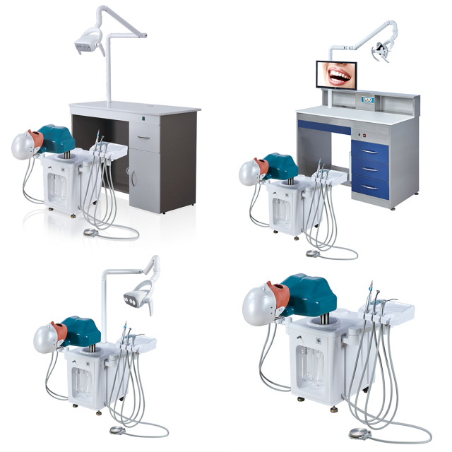 Dental Simulation And Laboratory Training