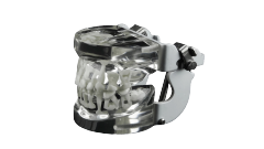 Transparent Adult Dentition Dental Model – 28 Teeth for Demonstration and Teaching