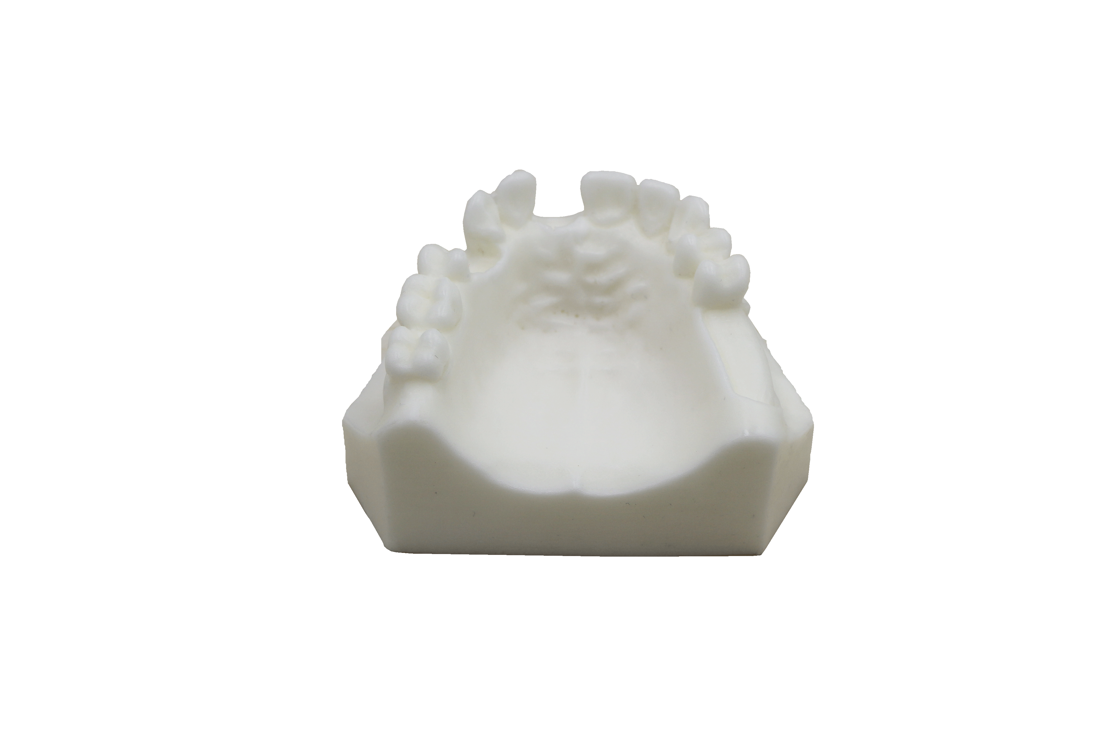 Dental Gypsum Model For Implant