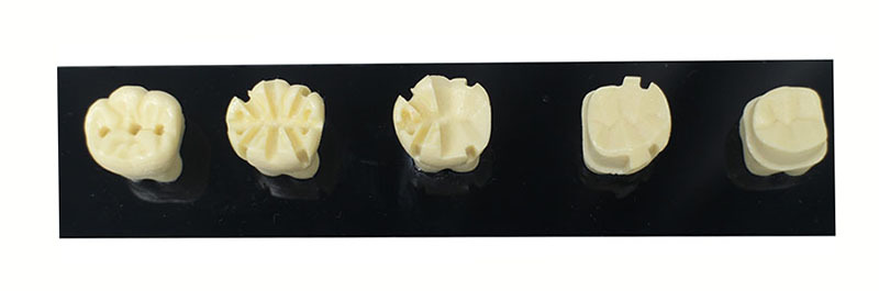 Full Crown Preparation Dental Model with Electric Handpiece