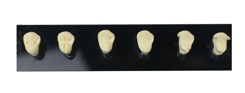 Full Crown Preparation Dental Model with Electric Handpiece