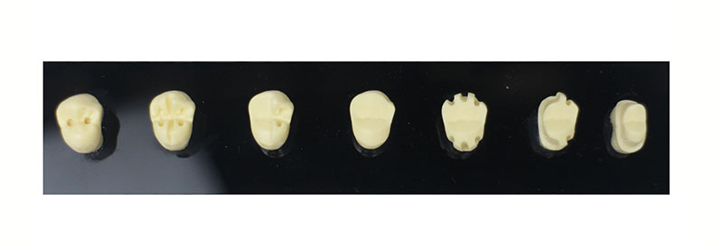 Full Crown Preparation Dental Model with Electric Handpiece