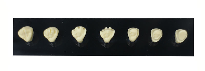 Full Crown Preparation Dental Model with Electric Handpiece