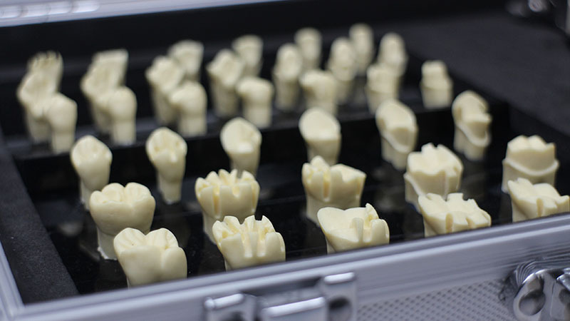 Full Crown Preparation Dental Model with Electric Handpiece