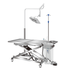 Advanced Veterinary Table with Electric Controls and Built-in Ultrasonic Scaler