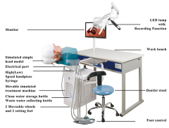 Affordable Electric Dental Simulators for Universities: Advanced Electric Dental Simulation Lab