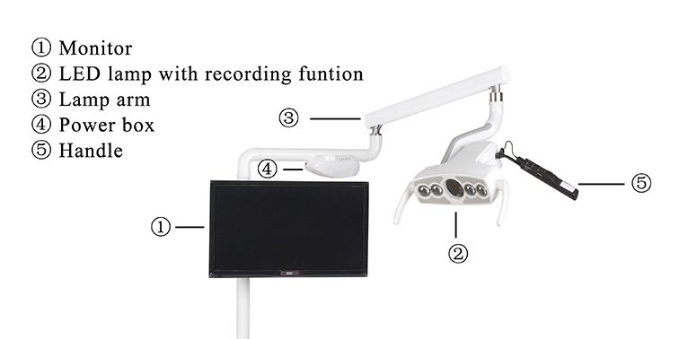Affordable Electric Dental Simulators for Universities: Advanced Electric Dental Simulation Lab