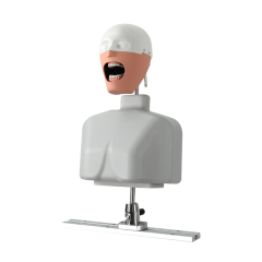 Phantom Head Dentistry For Training