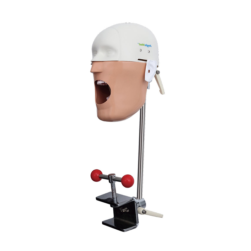 Jinglemed: Manual Dental Dummy Head | Storable & Realistic Training