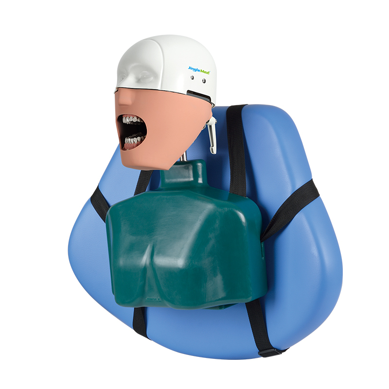 Dental Manikin Head on Chair | Dental Simulator Phantom Head for Student Training