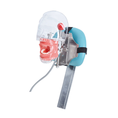 Dentist Practice Dummy Phantom Head JG-C6-3 | Dental Simulator Manikin for Student Training