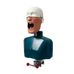 Dental Phantom Head Pre-clinical Training System | Realistic Dental Simulator for Student Training