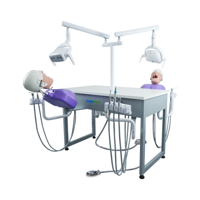Dental Simulation For Two Students