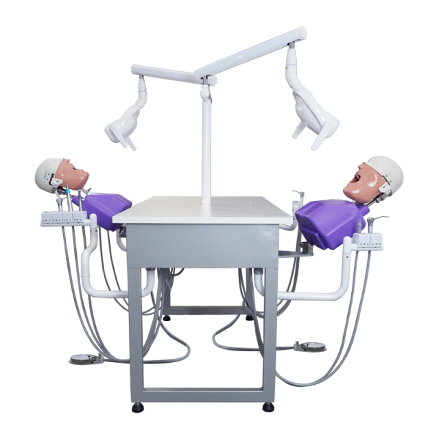 Dental Simulation For Two Students