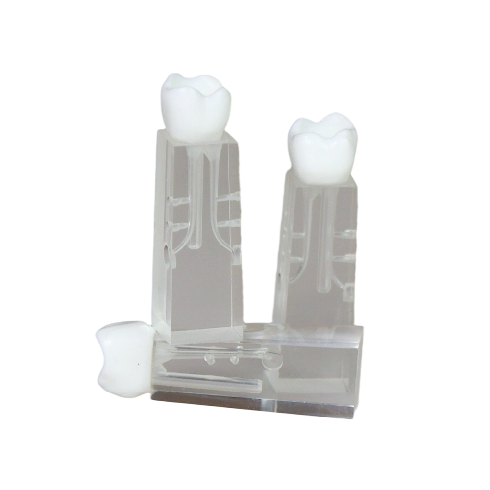 Root Canal Block JG-YS2-SG